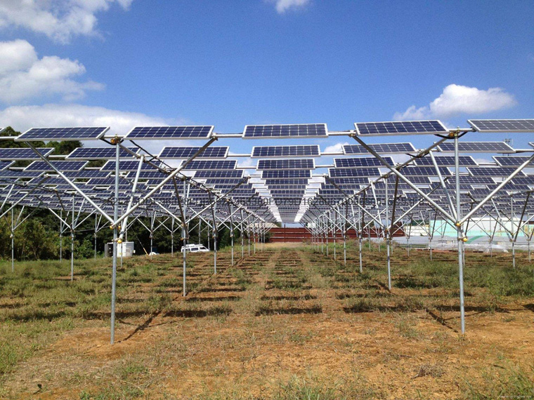 耕地上建太阳能发电大棚合法吗 耕地上建太阳能发电大棚合法吗
